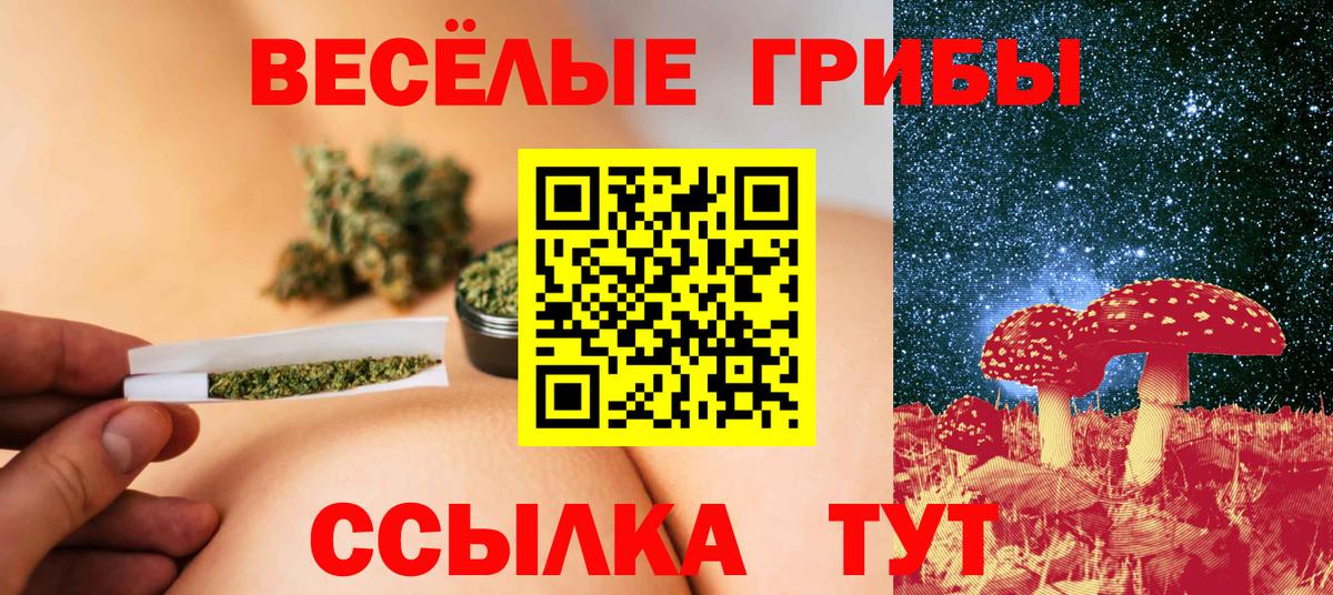 Псилоцибиновые грибы Psilocybe Чусовой