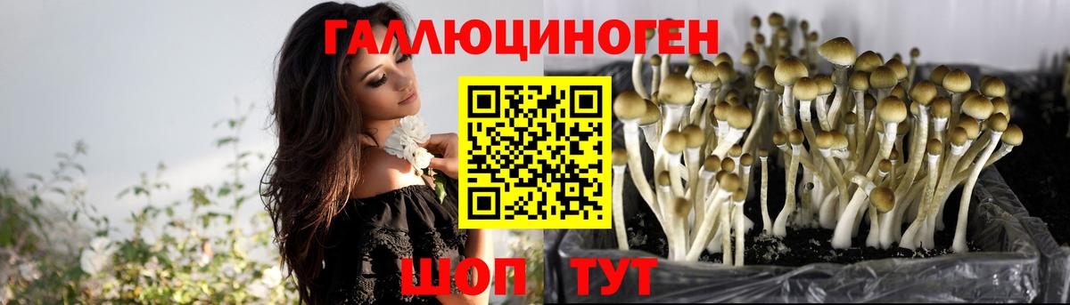Чусовой  наркошоп  Вход с VPN  Галлюциногенные грибы Magic Shrooms 